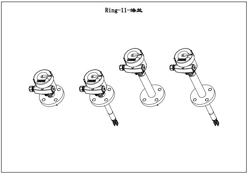 Ring-11防腐型音叉液位開(kāi)關(guān)（法蘭）